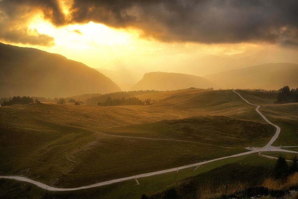 Im letzten Sonnenlicht