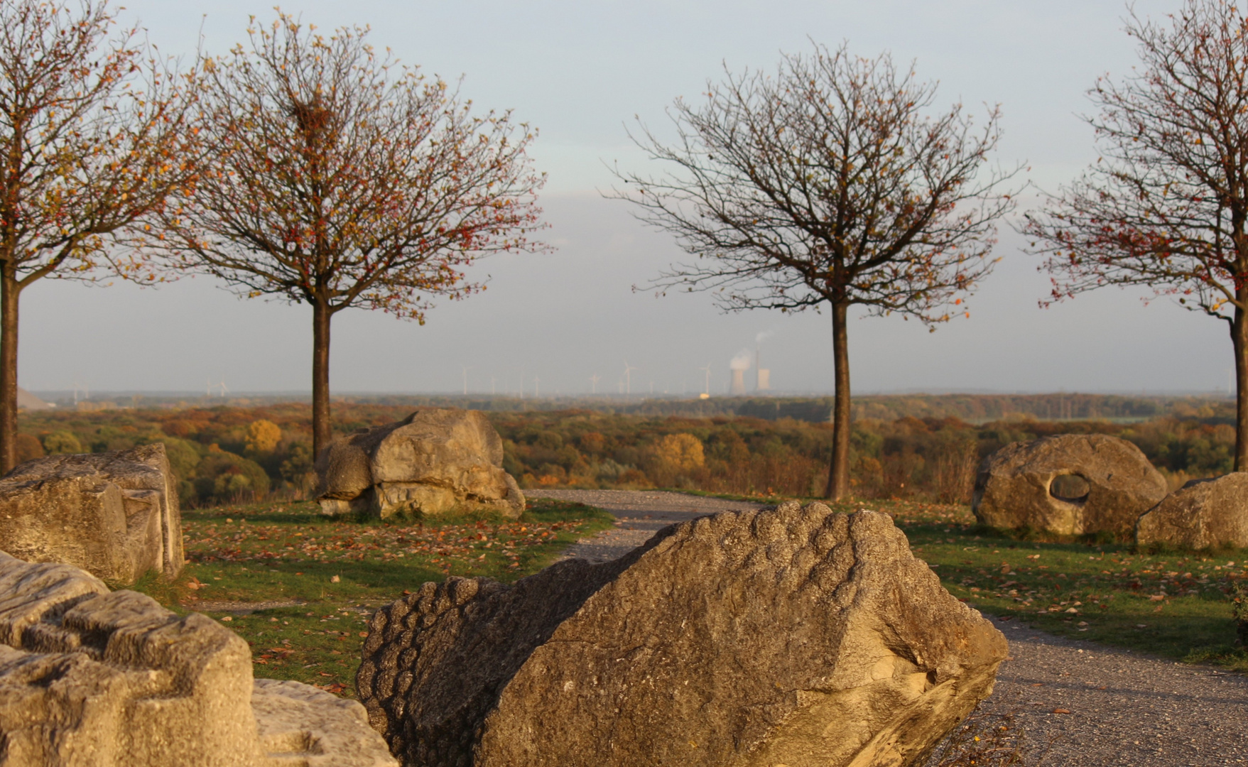 Im letzten Sonnenlicht