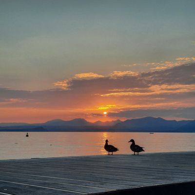 Im letzten Sonnenlicht