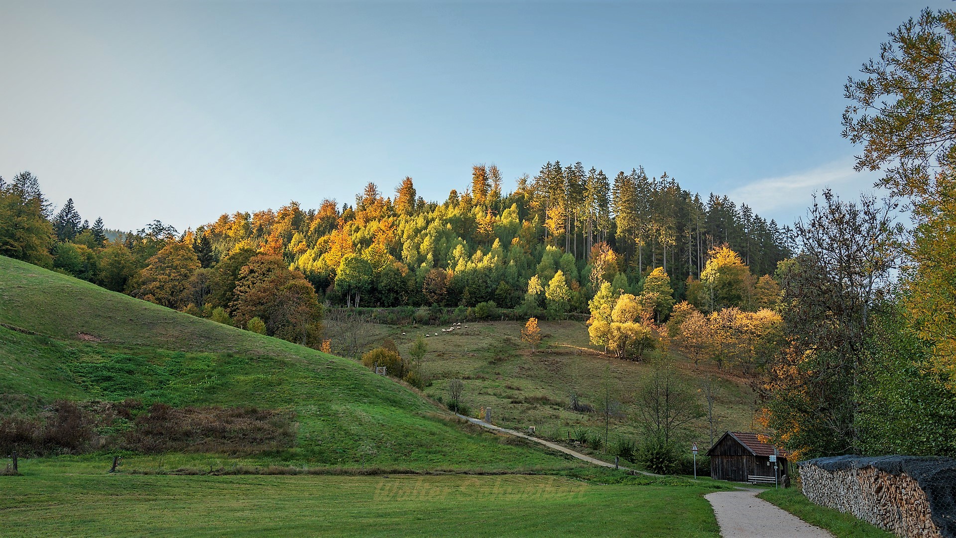 Im letzten Sonnenlicht