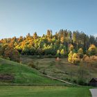 Im letzten Sonnenlicht