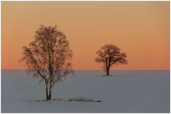 Im letzten Sonnenlicht