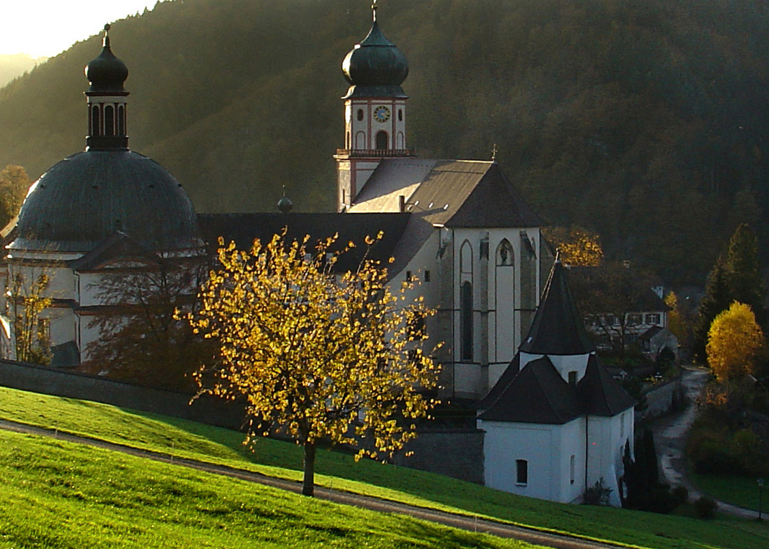 Im letzten Sonnenlicht