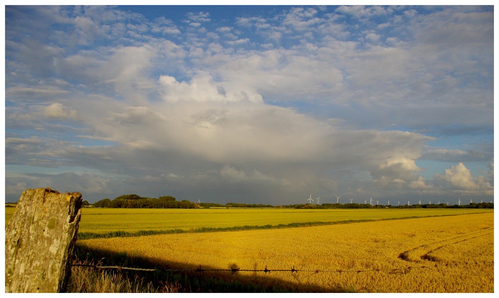 Im letzten Strahl der Abendsonne......