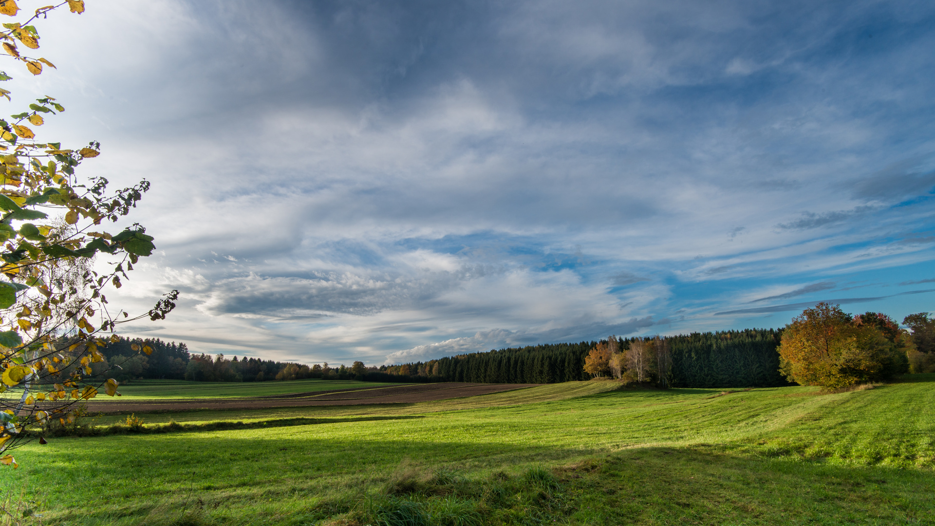 Im Licht der Abendsonne