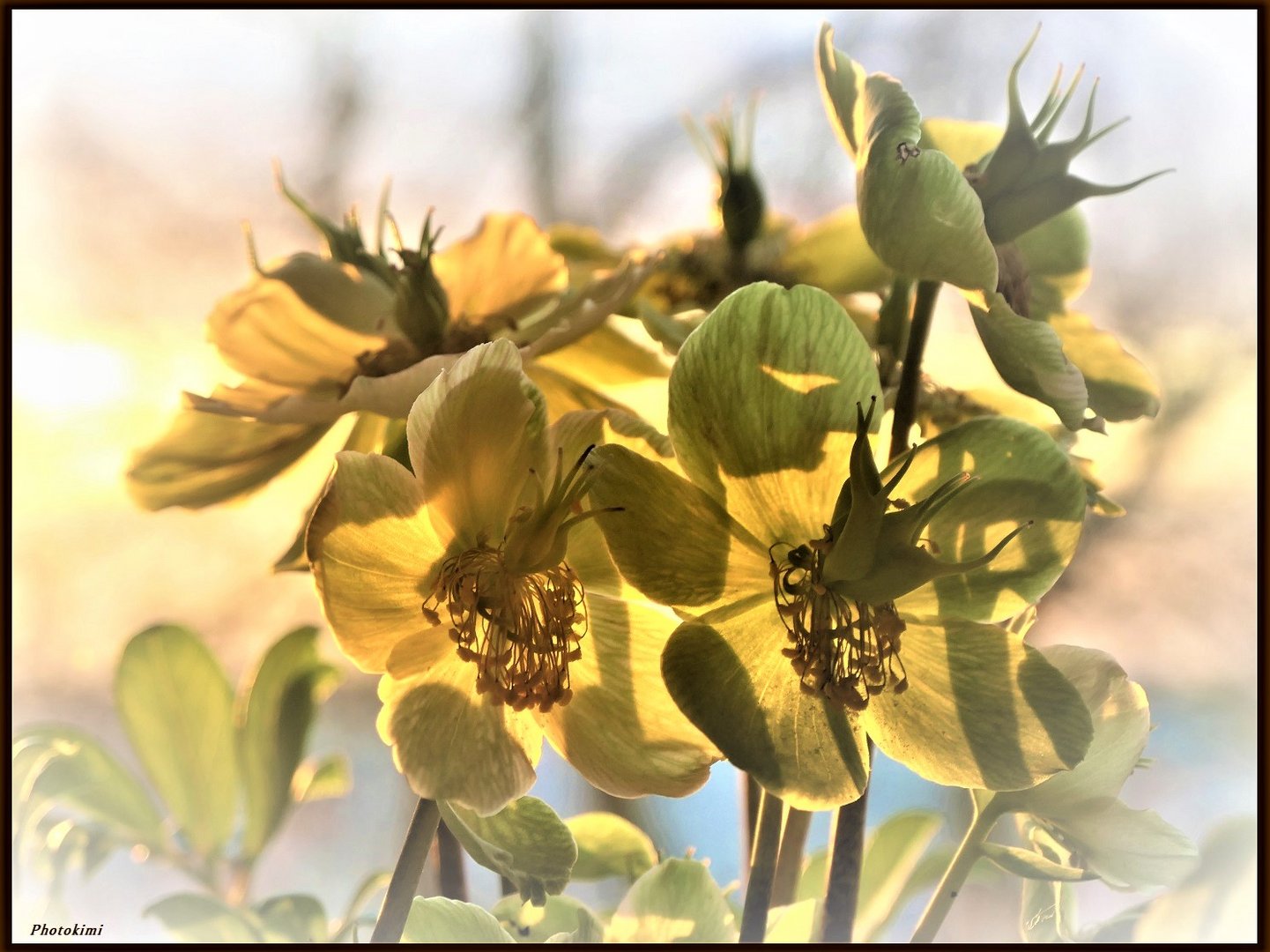 Im Licht der aufgehenden Sonne