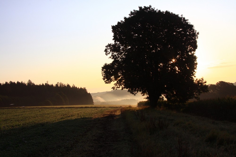 Im Licht der aufgehenden Sonne