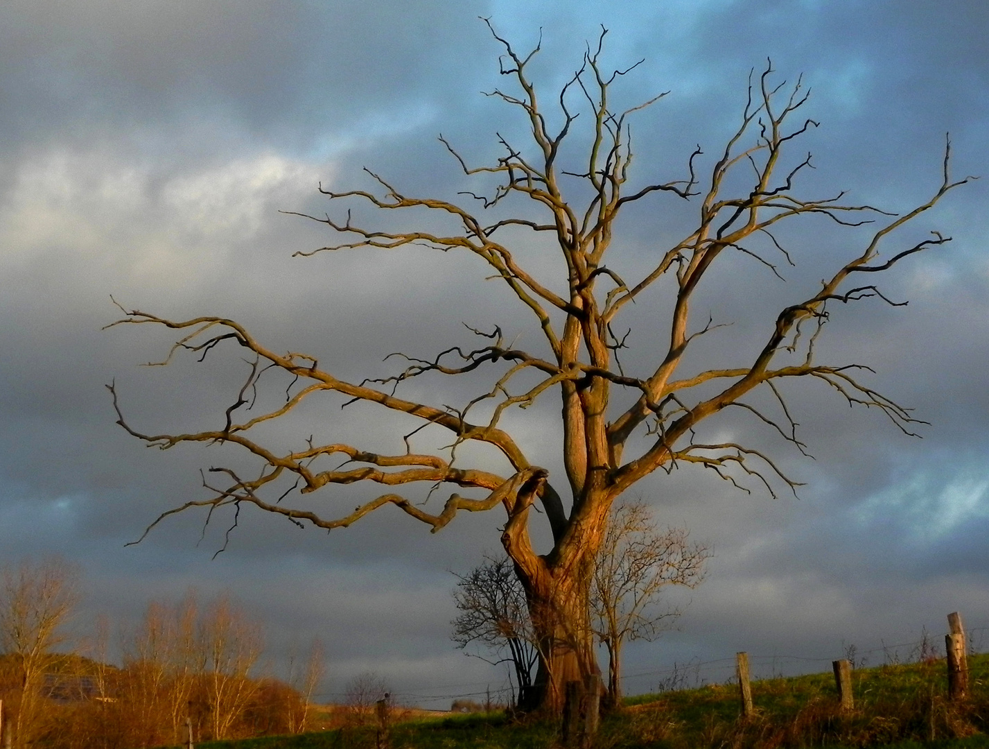 Im Licht der Morgensonne