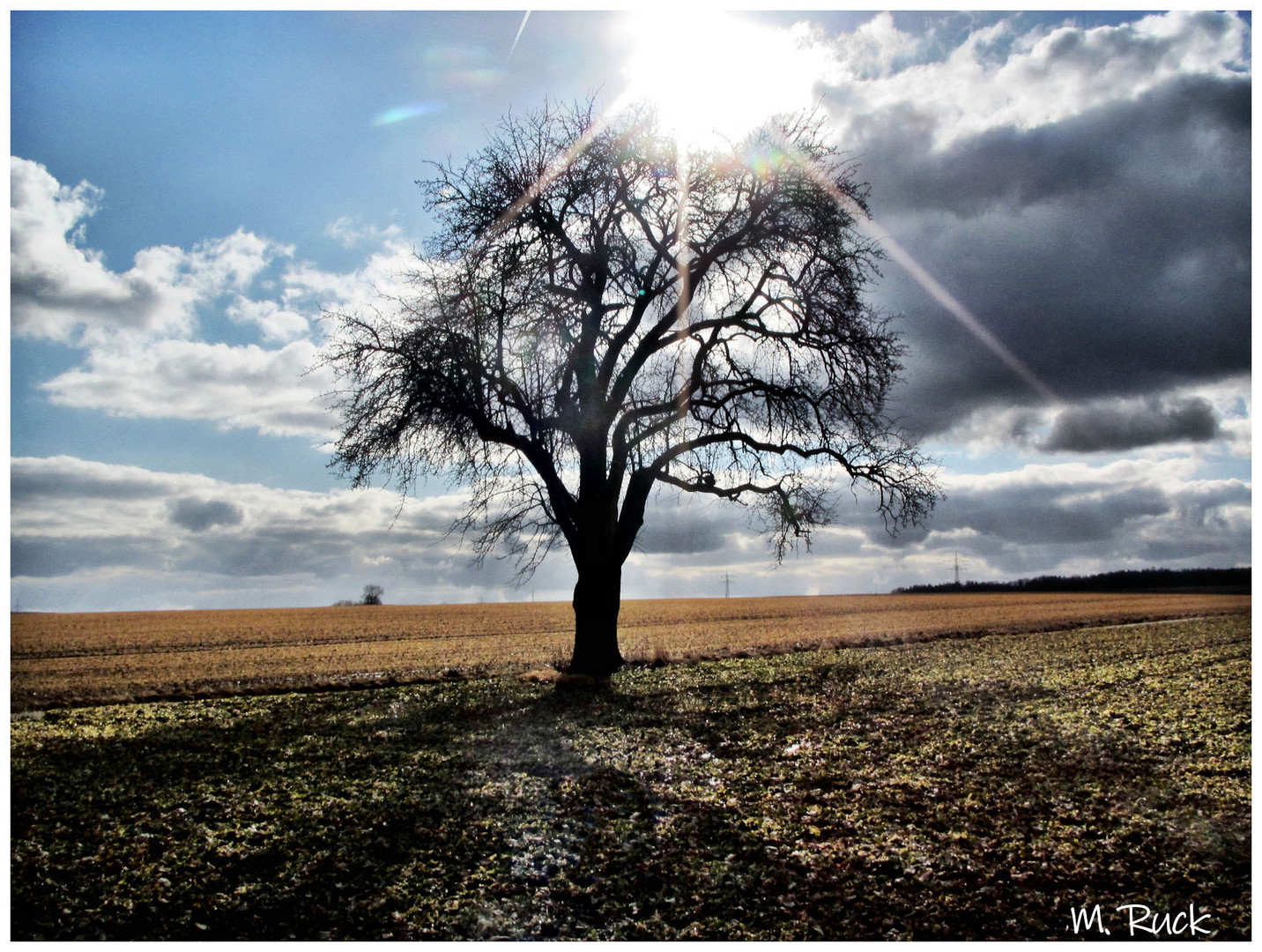 Im Licht der Sonne !