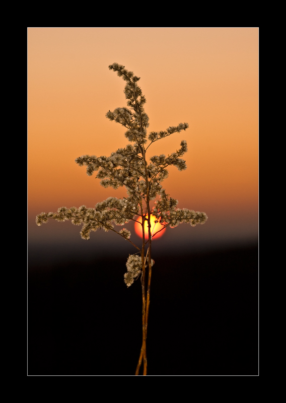 Im Licht der untergehenden Sonne