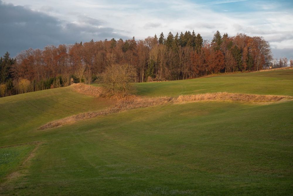 im Licht der untergehenden Sonne