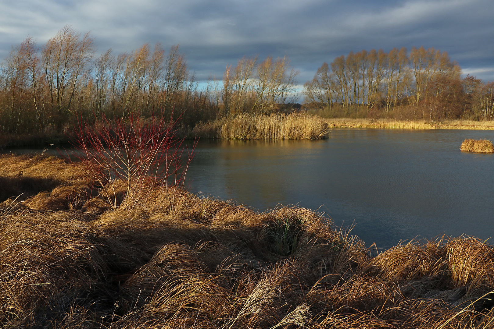 Im Licht der Wintersonne