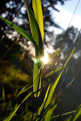 Im licht des Herbstes