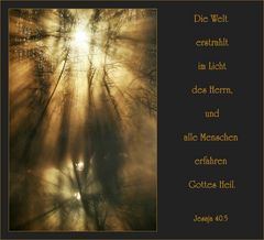 Im Licht des Herrn ...