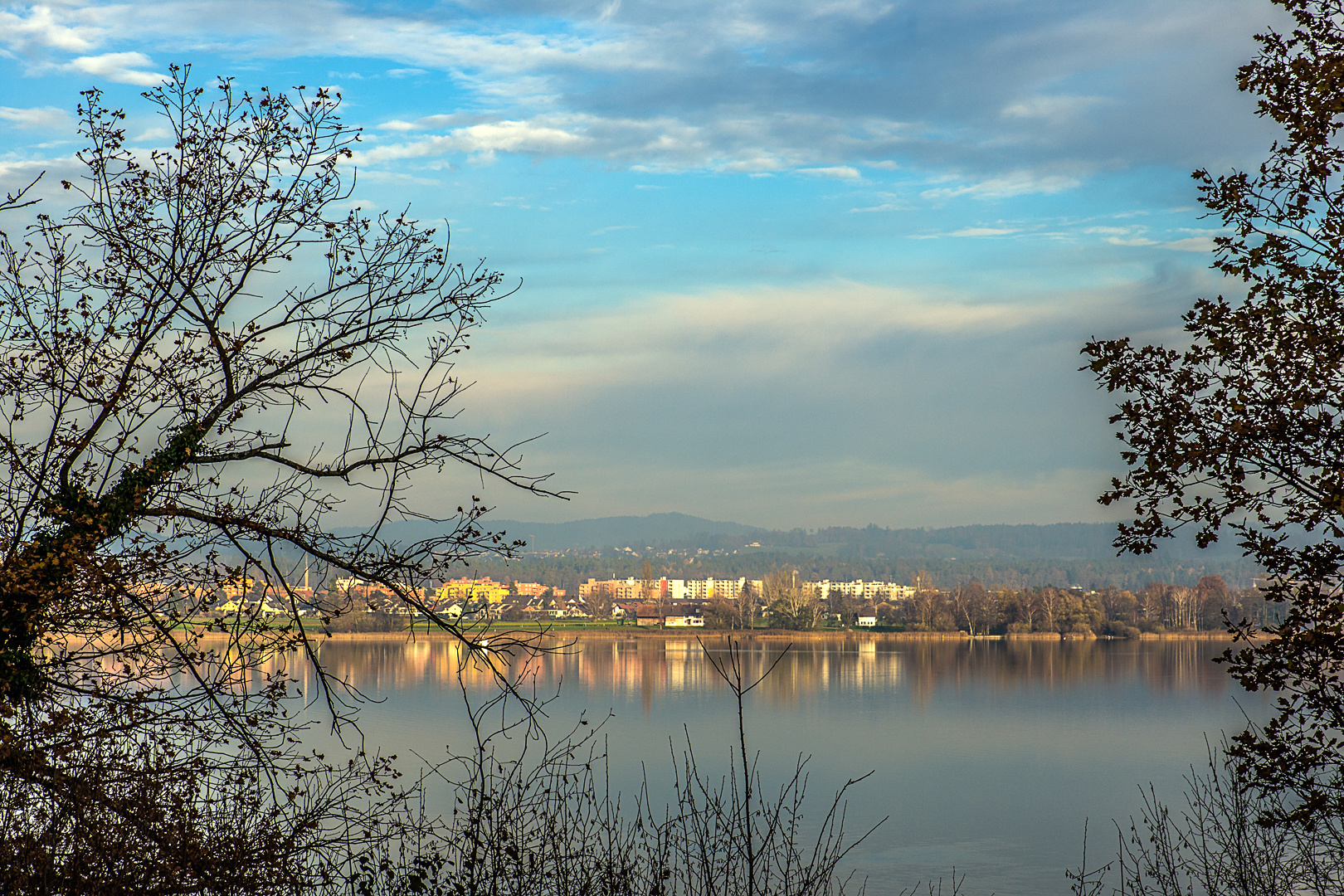 Im Licht des Scheinwerfers