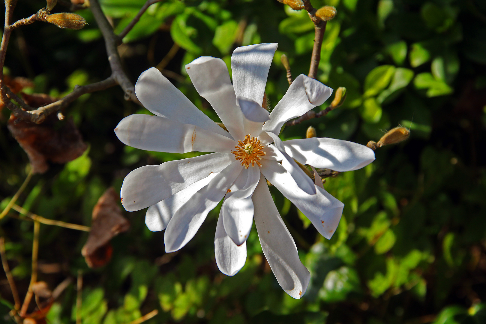 im Licht und Schatten