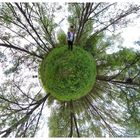 Im lichten Auwald (tiny planet)