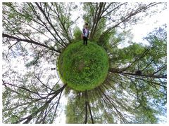 Im lichten Auwald (tiny planet)