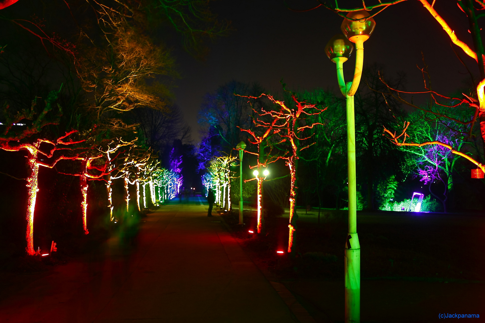 Im Lichterwald mit "Lichtgeister" - Parkleuchten im Grugapark