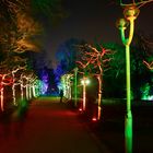 Im Lichterwald mit "Lichtgeister" - Parkleuchten im Grugapark