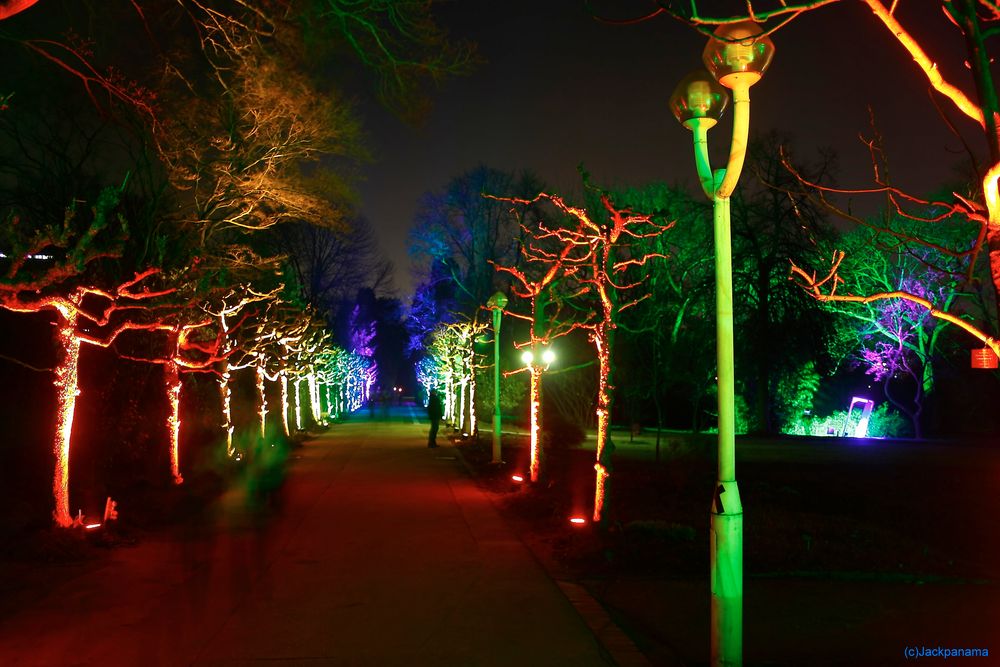 Im Lichterwald mit "Lichtgeister" - Parkleuchten im Grugapark