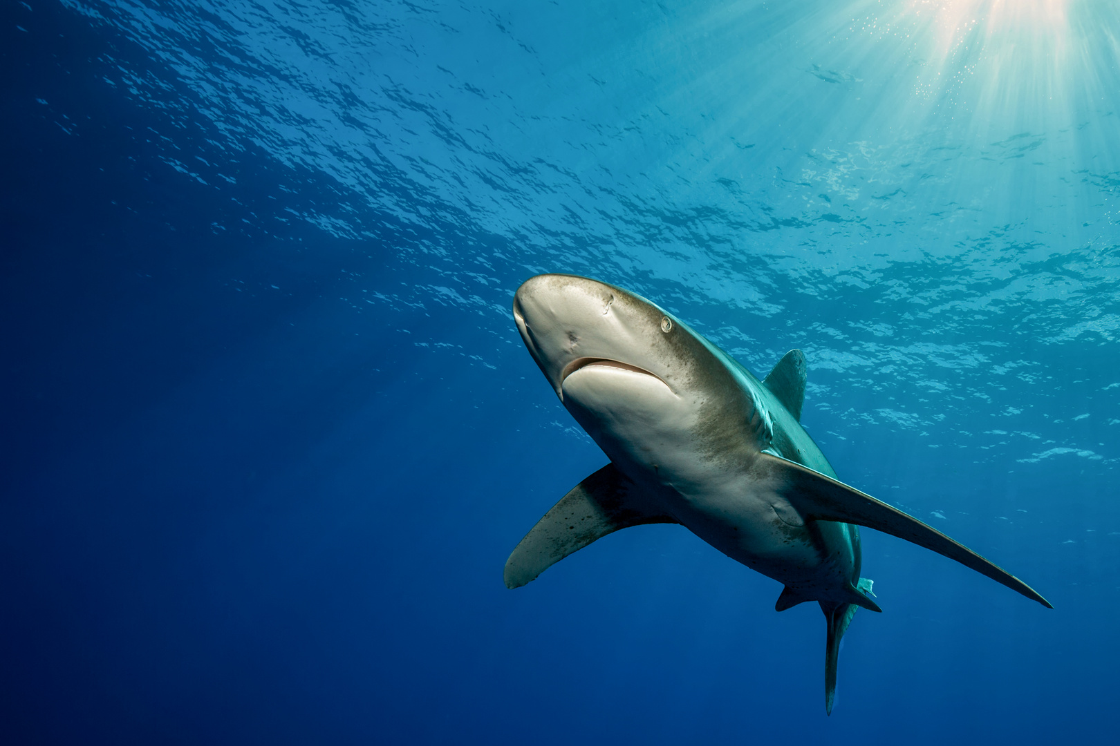 Im Lichtkegel Foto & Bild blue, nature, water Bilder auf