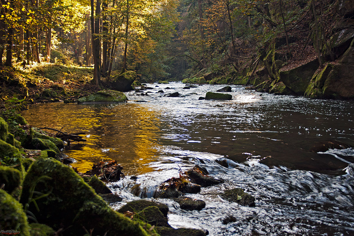 Im Liebethaler Grund