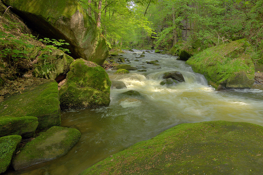 Im Liebethaler Grund