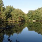 Im Limbacher Teichgebiet