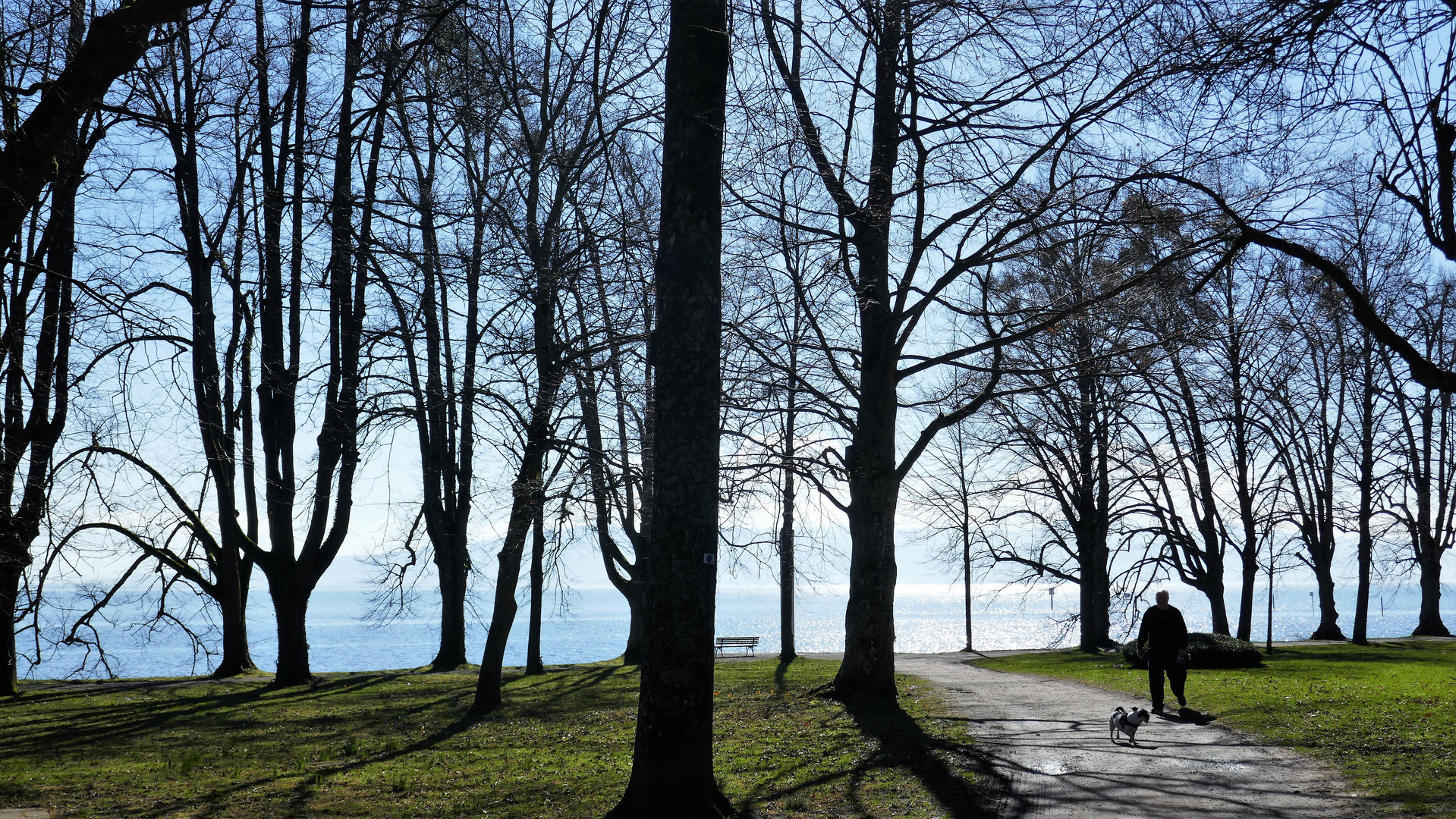 Im Lindenhofpark