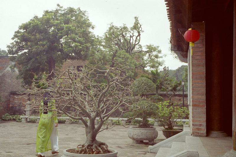 Im Literaturtempel in Ha Noi