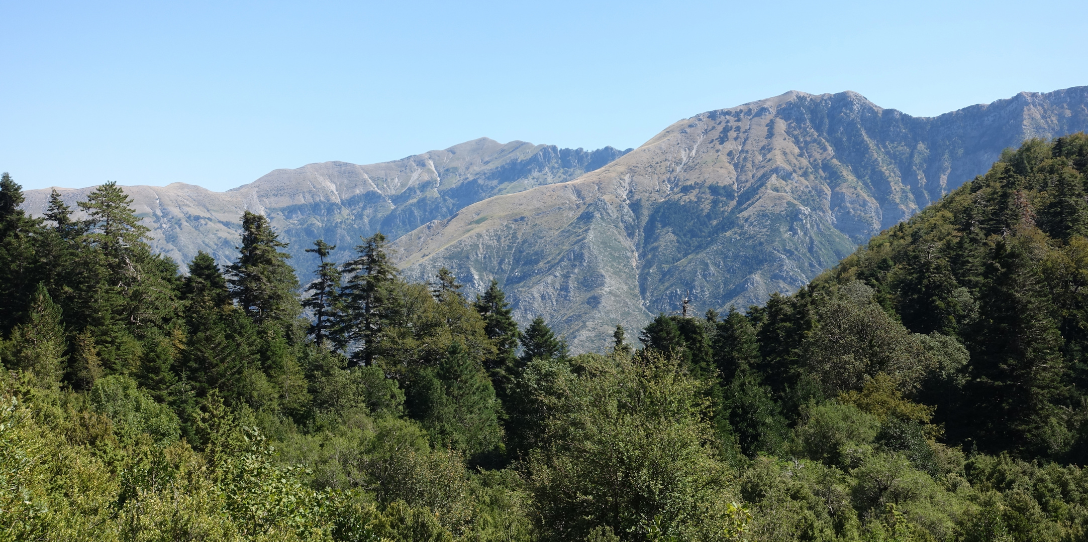 Im Llogara Nationalpark (Albanien)