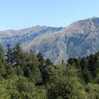 Im Llogara Nationalpark (Albanien)