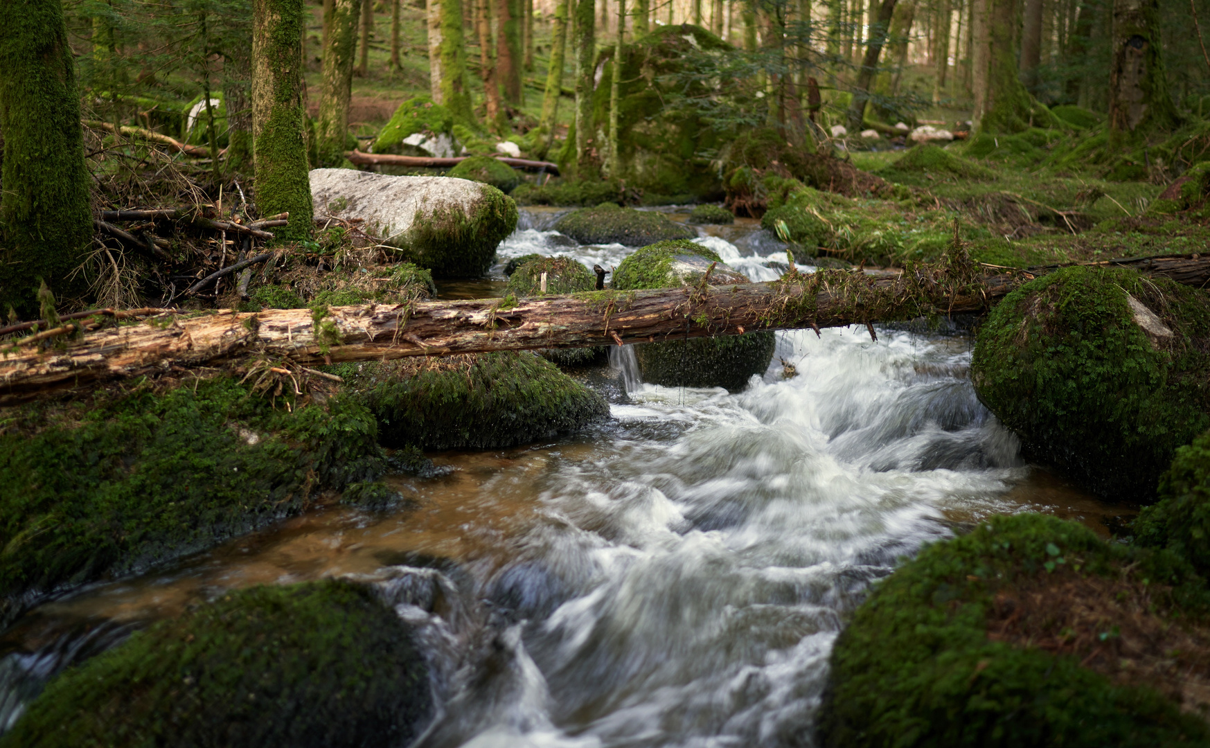 Im Lochmühltal