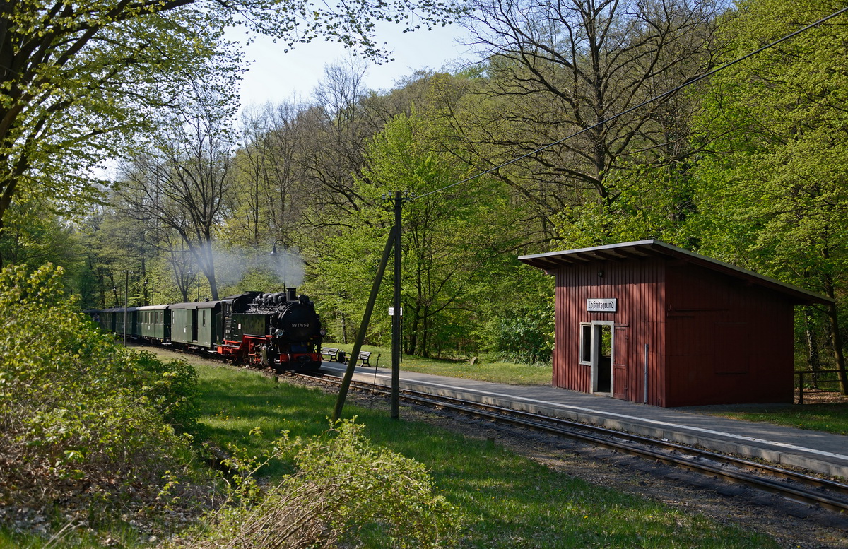 im Lößnitzgrund