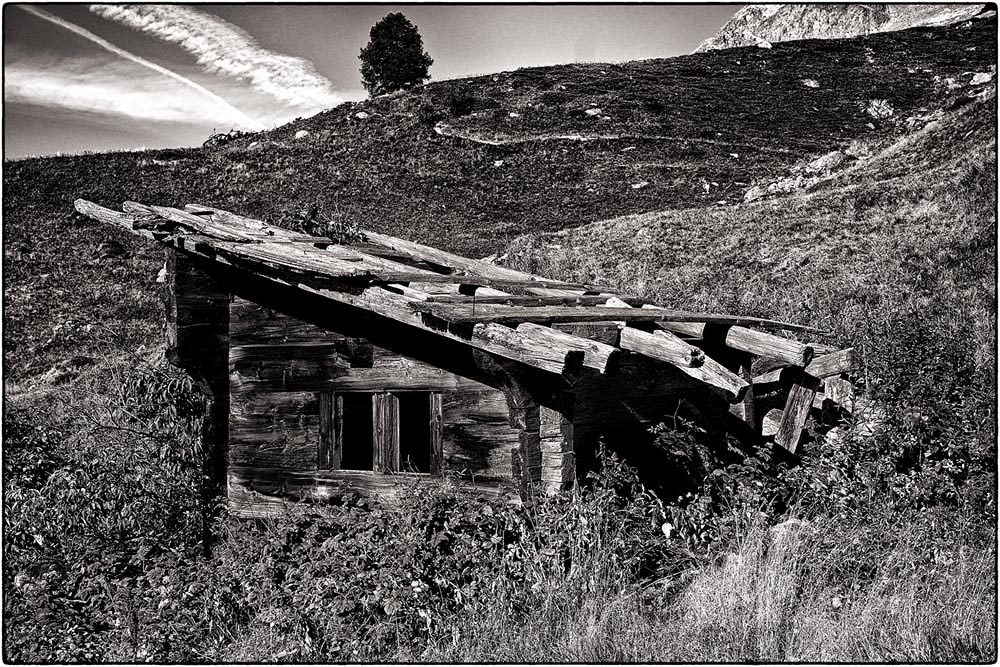 im Lötschental (Wallis,Schweiz)