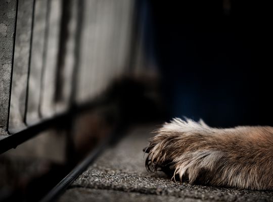 I'm looking for freedom