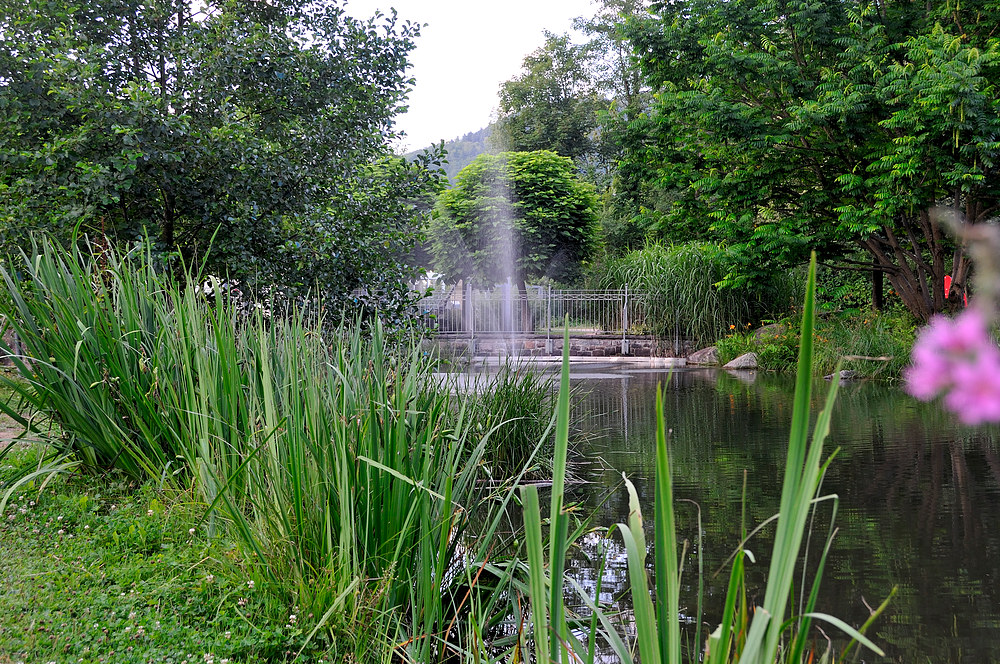 Im Ludin Garten in Wehr/Baden 3.