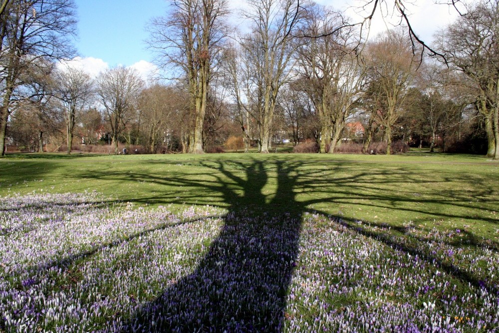 Im Lübecker Stadtpark