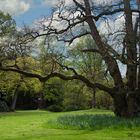 Im Lütets Park Ostfriesland