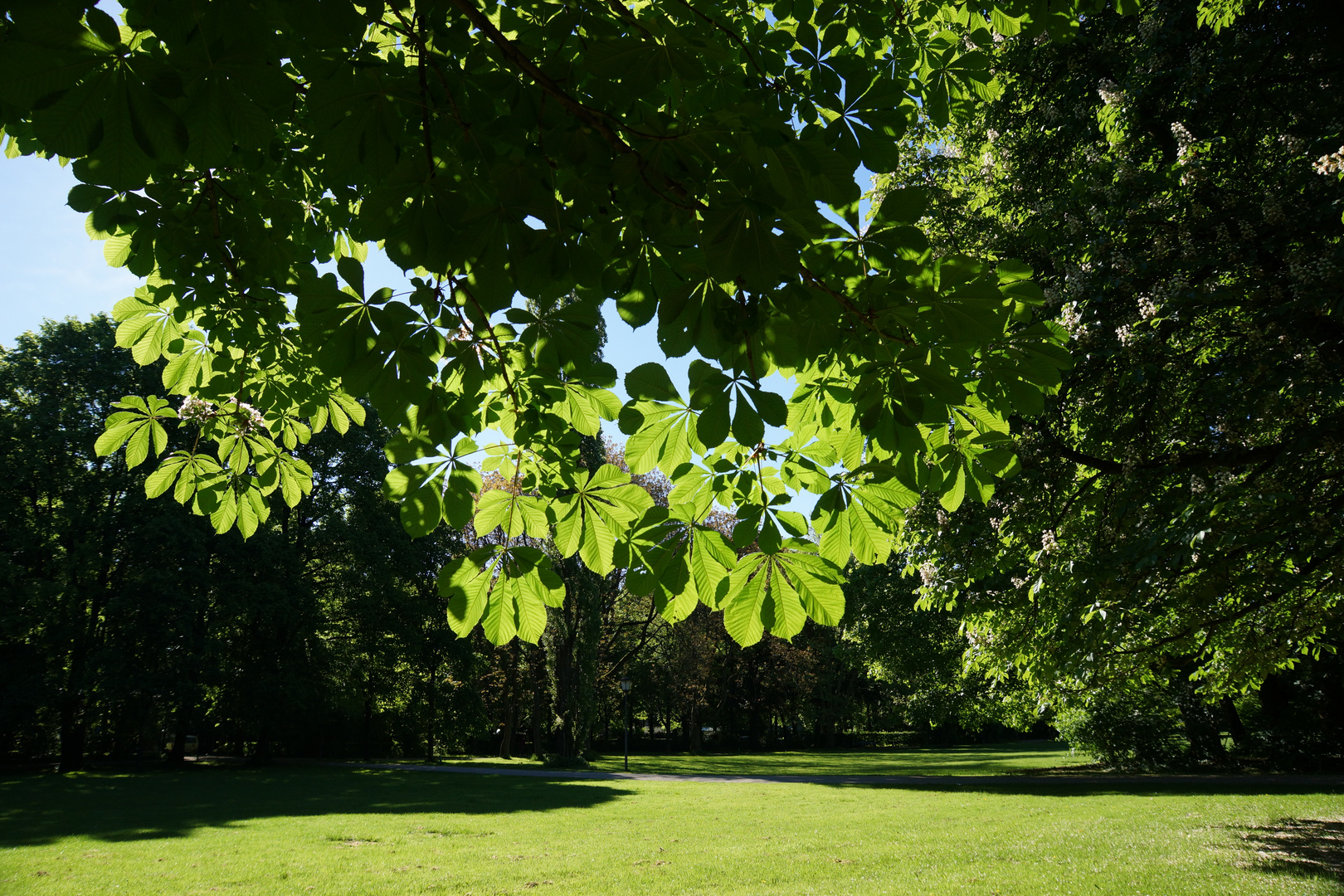 Im Luitpoldpark München