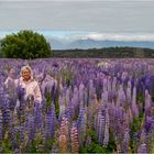 "Im Lupinenfeld" - Südinsel, Neuseeland, Januar 2007