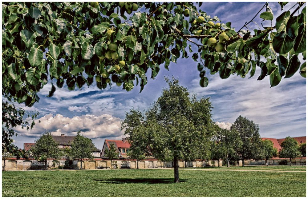 Im Lustgarten vom Kloster Wiblingen (Ulm)