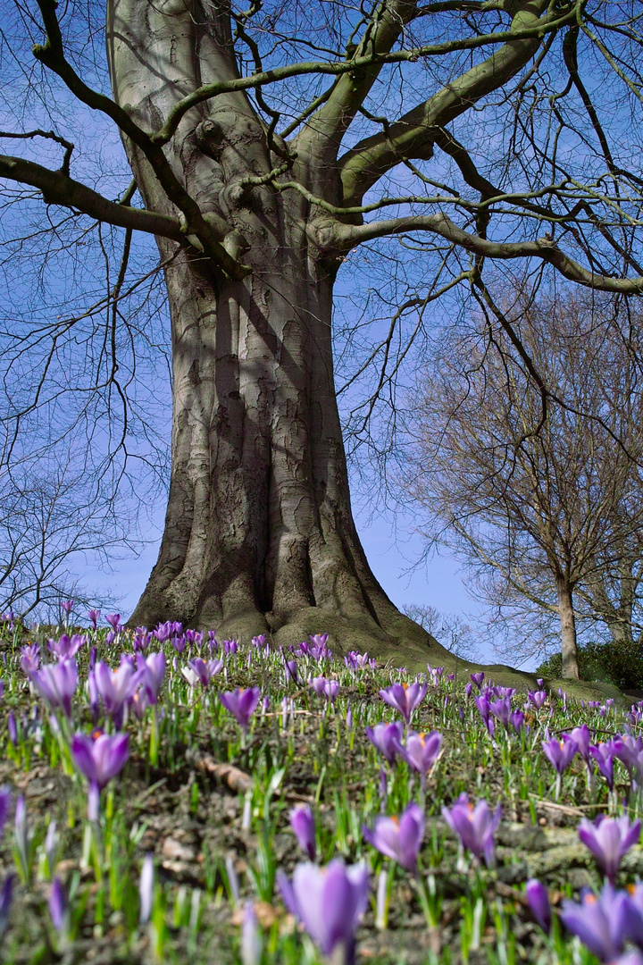 Im Lutherpark in Flensburg