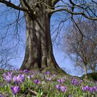 Im Lutherpark in Flensburg