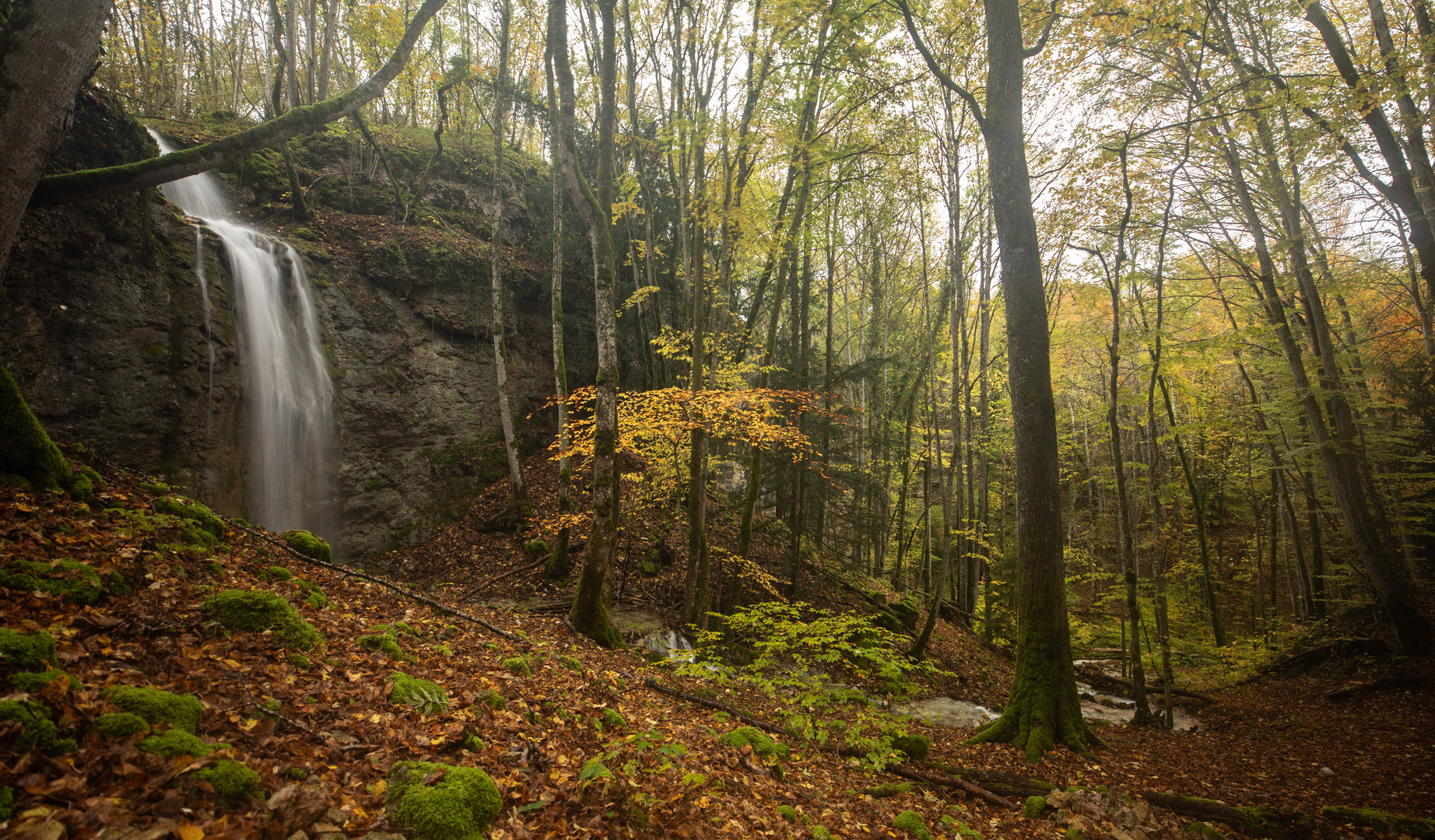 Im Märchenland (3) 