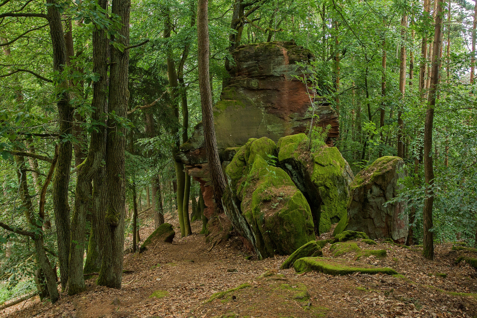 Im Märchenwald