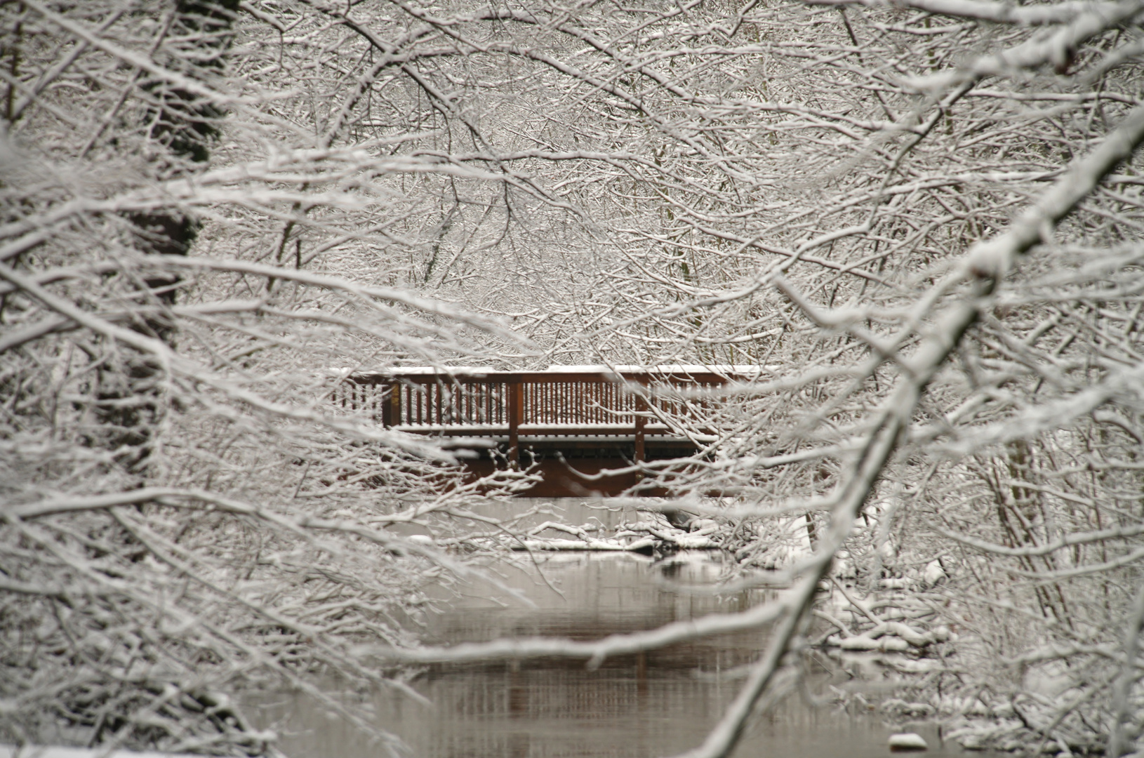 Im Märchenwinterwald