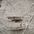 Im Märchenwinterwald