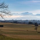 Im März vom Frühling träumen